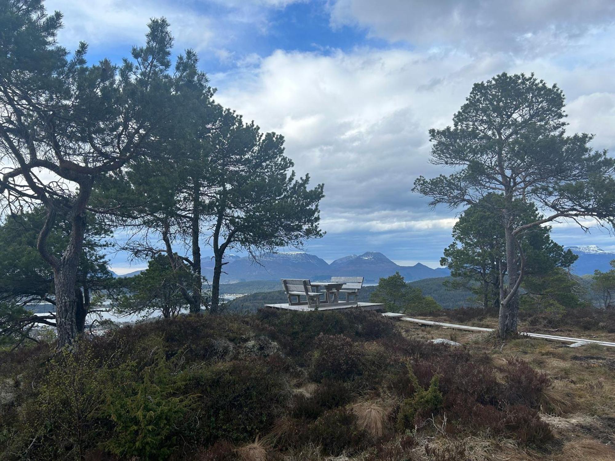 Ferienwohnung Cozy Retreat In The Heart Of Ålesund Exterior foto
